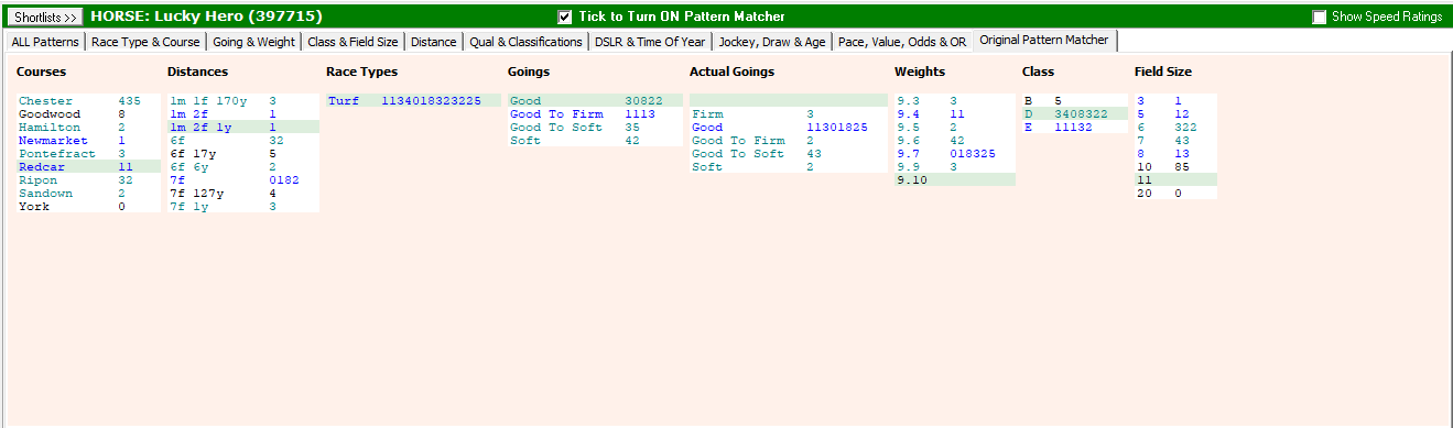 The Proform Pattern Matcher showing one horse's record broken down by course, distance, race type, going, weight, class and field size