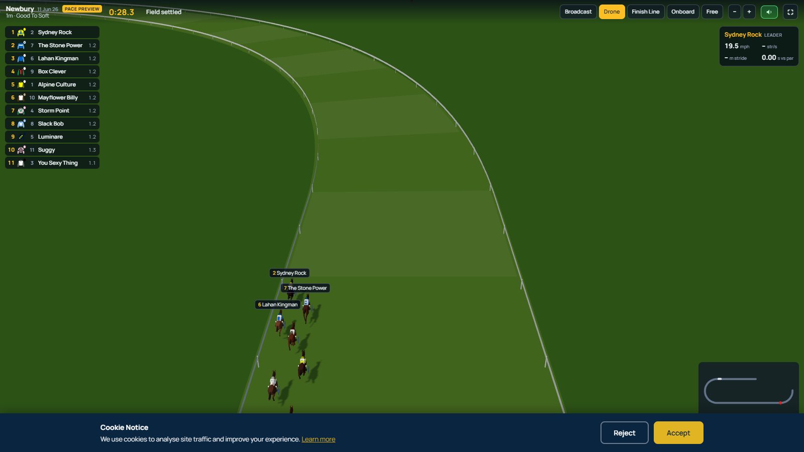 3D pace preview of an upcoming race, field settled into predicted positions